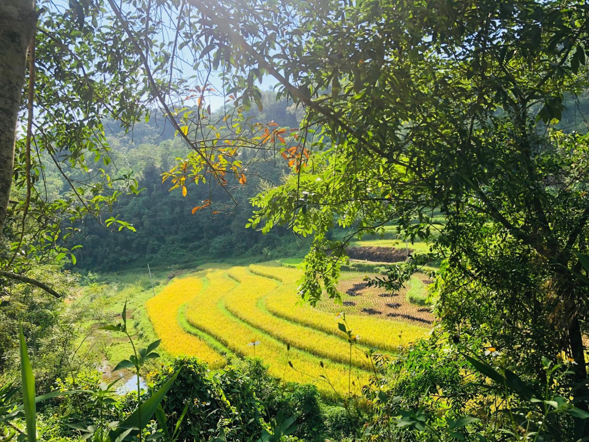 Duong Cong Chich Homestay Lang Son Εξωτερικό φωτογραφία